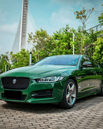 CG32-HD Amphibian Green