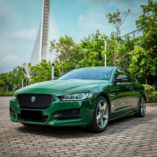 CG32-HD Amphibian Green
