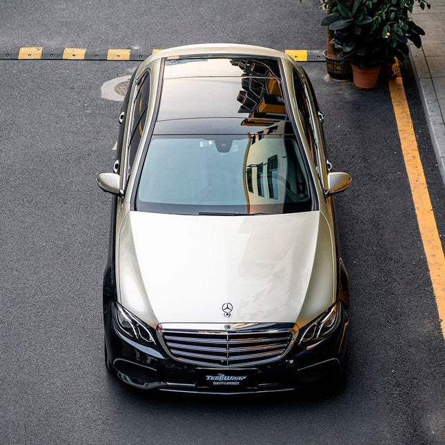 RB31-HD Silver Fern