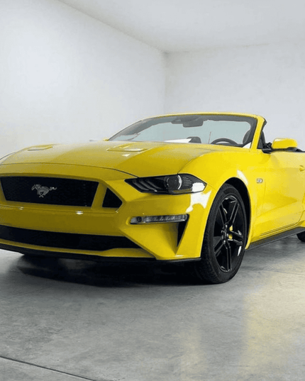 CG43-HD Louvre Yellow